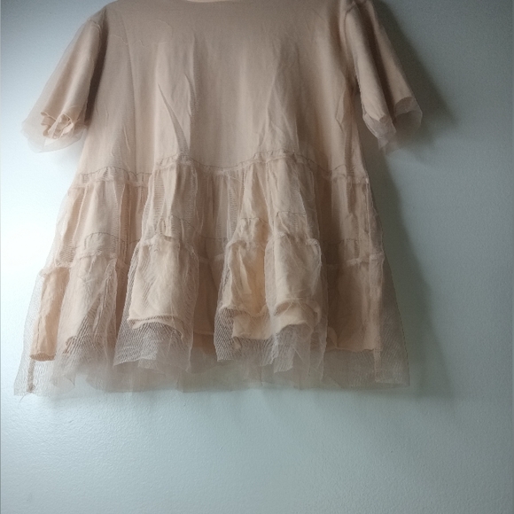 Other - Sheer Ruffled Blouse Large